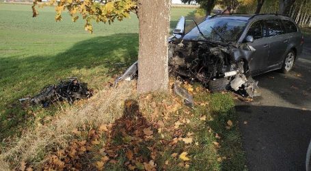 BMW uderzyło w drzewo